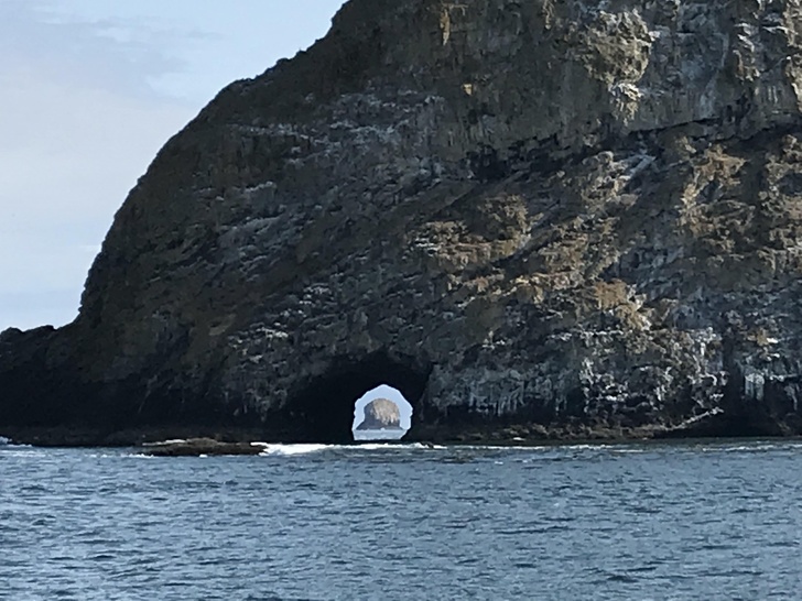 Illustration de l'article : Ces 20 photos présentant des situations particulièrement ambigües