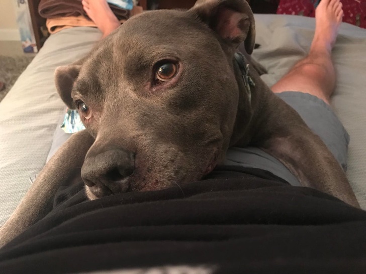 Illustration de l'article : Ces 24 photos qui montrent la joie de vivre