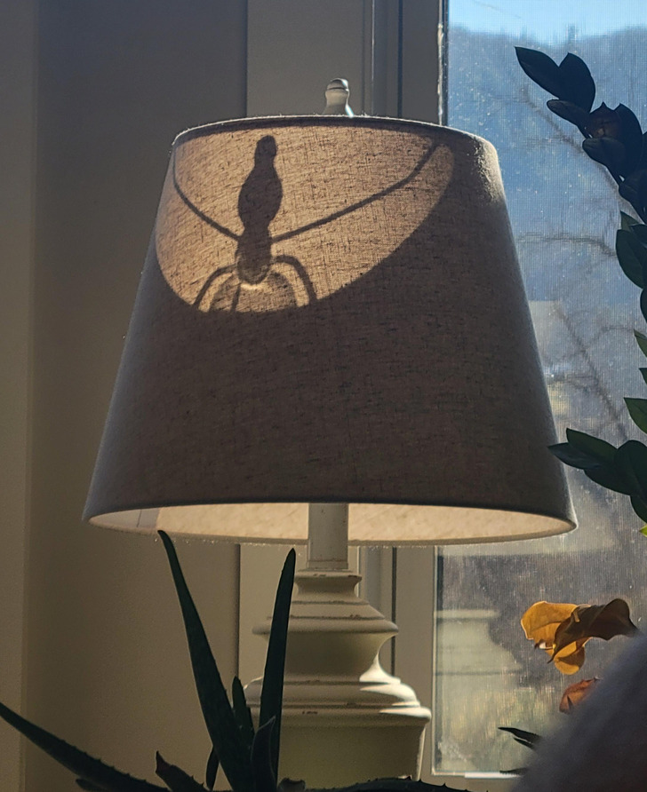 Illustration de l'article : Ces 16 photos qui illustrent les tournures amusantes du quotidien