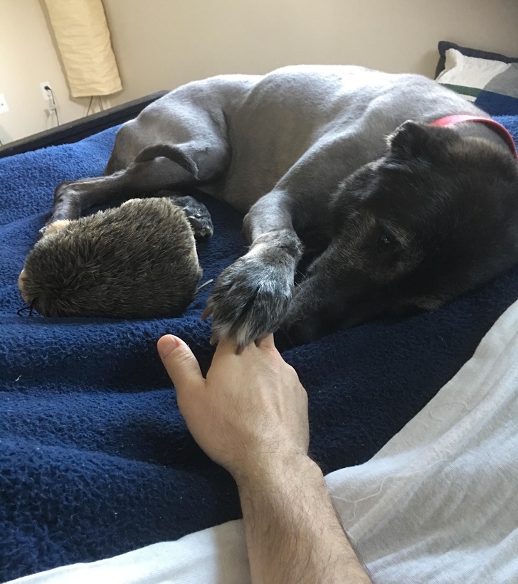 Illustration de l'article : Ces 15 photos qui racontent une histoire sensible