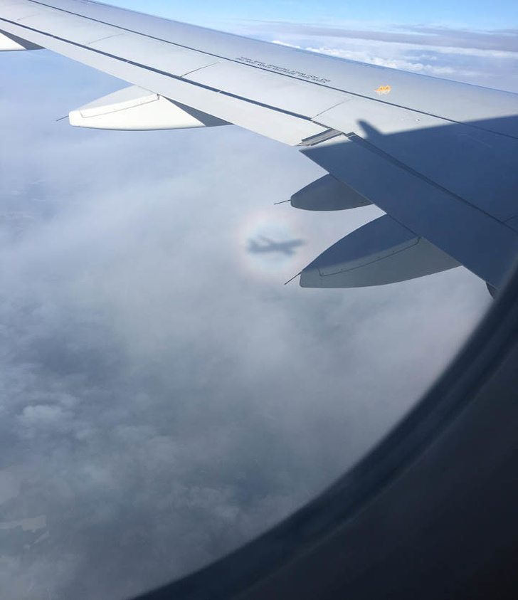 Illustration de l'article : Ces 20 phénomènes et situations liés au hasard de la vie