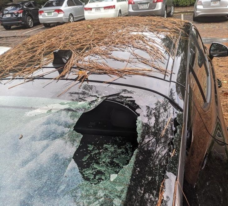 Illustration de l'article : Ces 18 photos qui illustrent l'ironie du sort