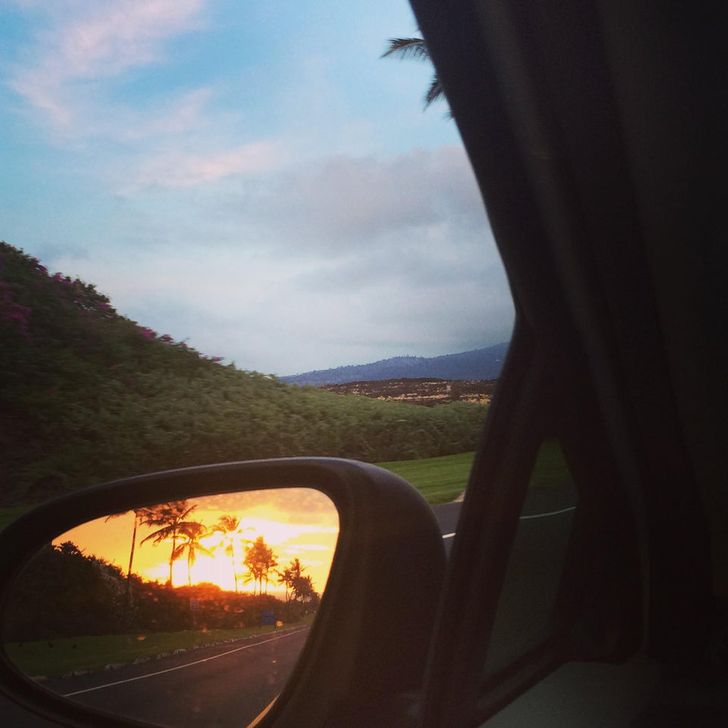 Illustration de l'article : Ces 20 photos qui illustrent les originalités de la nature