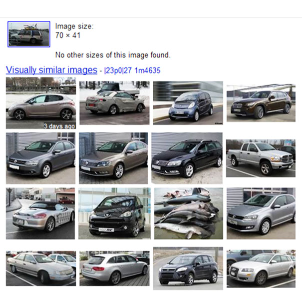 Illustration de l'article : Qui a vraiment le niveau pour trouver l'intrus sur ces 100 photos ? 