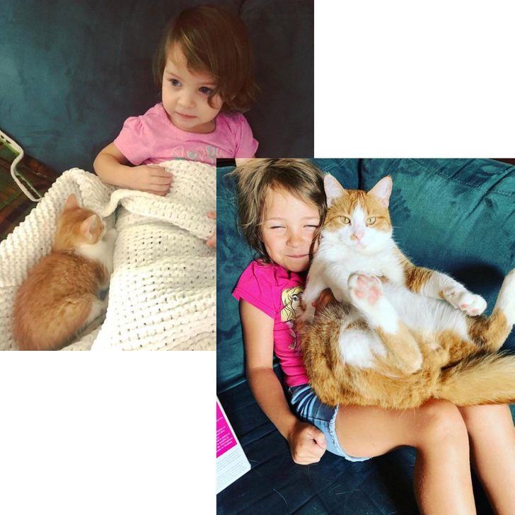 Illustration de l'article : Ces 20 photos avant/après pour les nostalgiques des souvenirs d'enfance