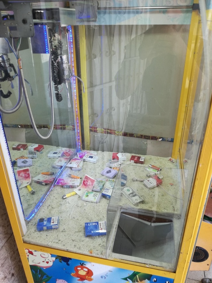 Illustration de l'article : Ces 18 curiosités d'une réalité bien particulière