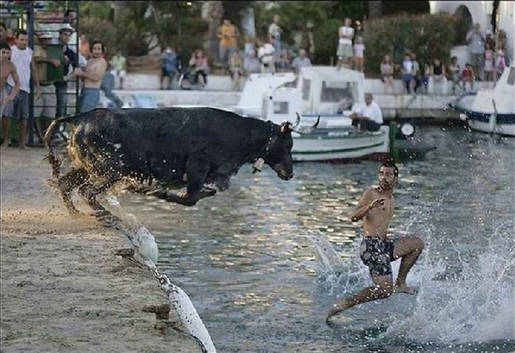 Illustration de l'article : Ces 17 photos qui offrent une montée d'adrénaline
