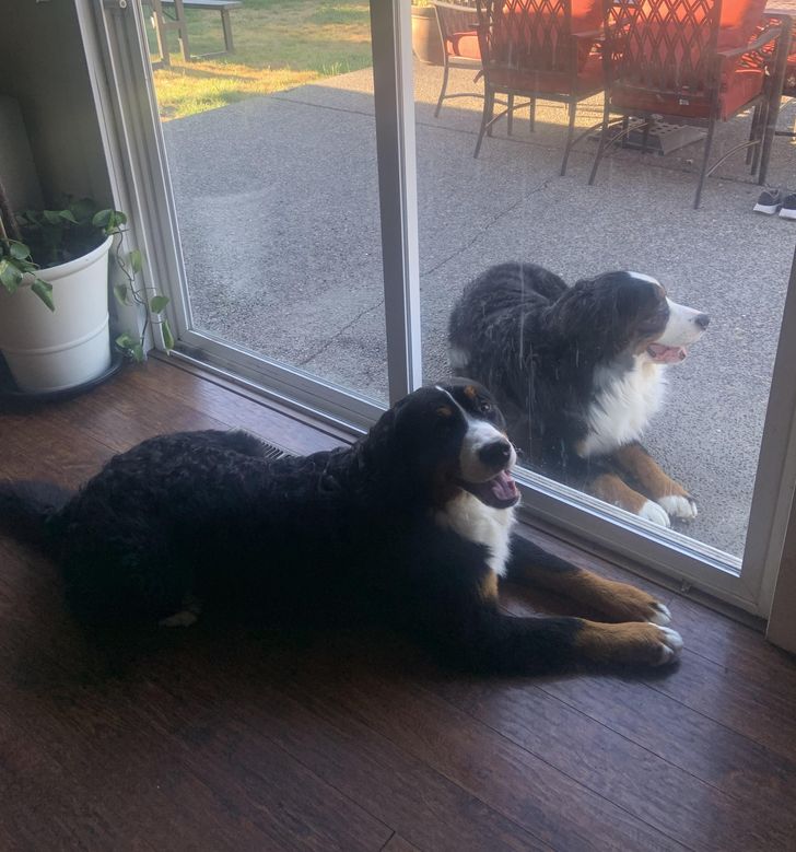 Illustration de l'article : Ces 20 photos qui montrent que tout est question d'angle de vue