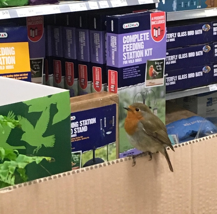 Illustration de l'article : Ces 17 photos étranges et sans retouche ont fait le buzz sur le net