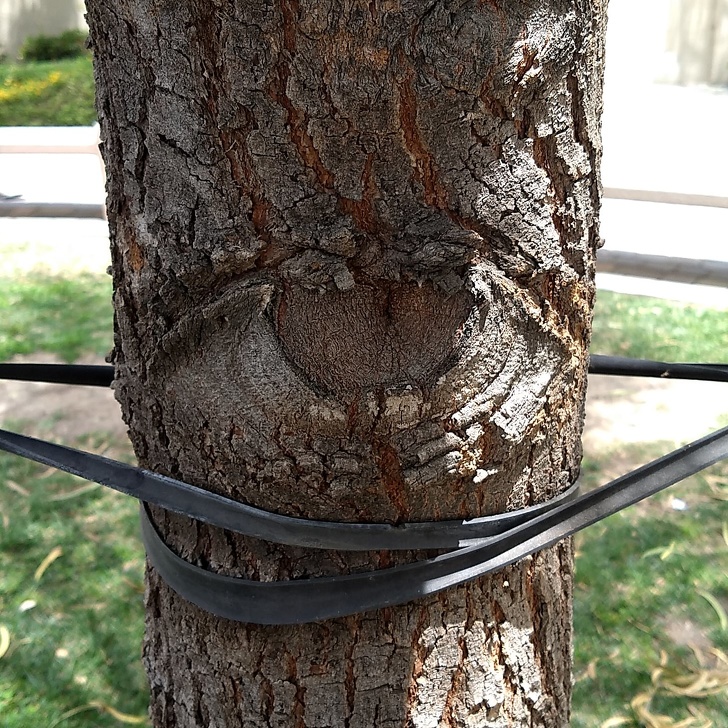 Illustration de l'article : Ces 23 curiosités qui montrent qu'il faut être attentif autour de soi