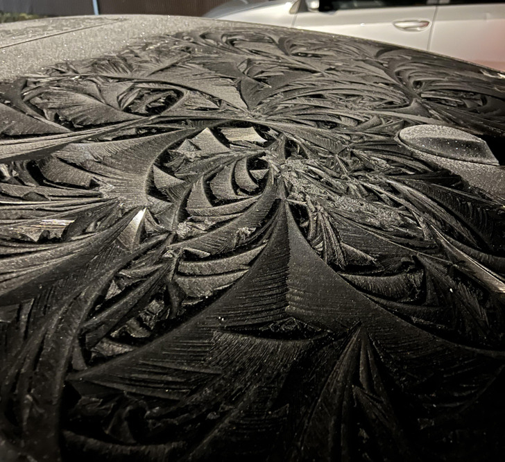 Illustration de l'article : Ces 20 photos qui illustrent les oeuvres de la nature en hiver