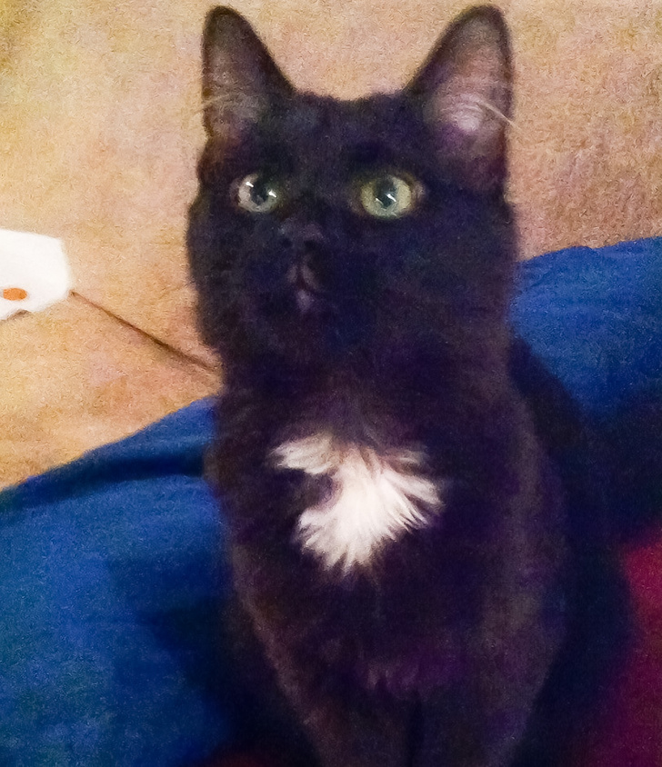 Illustration de l'article : Ces 24 photos qui montrent la joie de vivre