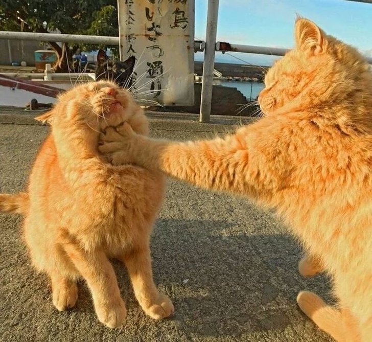 Illustration de l'article : Ces 23 photos qui traduisent la vie de leurs auteurs