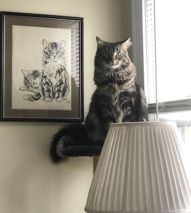 Illustration de l'article : Ces 19 trouvailles que certaines personnes ont faites