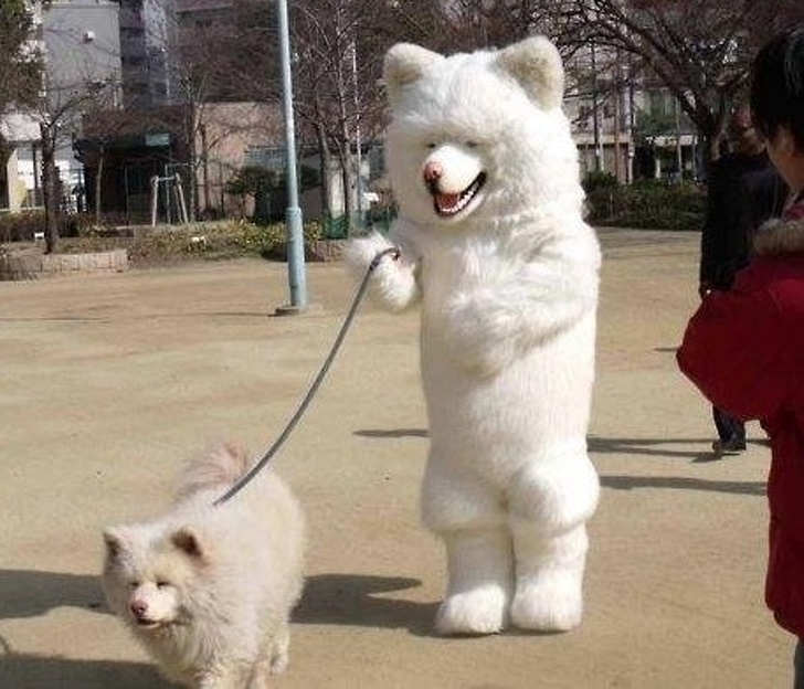 Illustration de l'article : Ces 27 photos de situations bizarres et sans explication