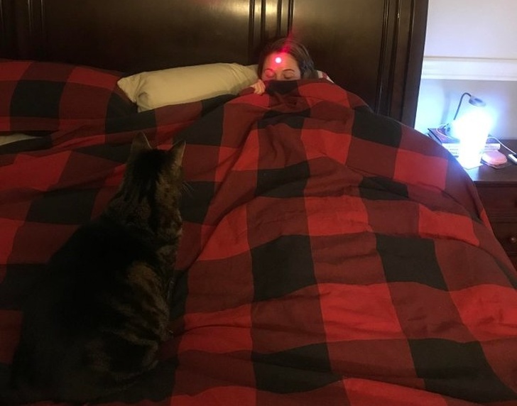 Illustration de l'article : Ces 17 familles dans lesquelles vous devez toujours surveiller vos arri&egrave;res