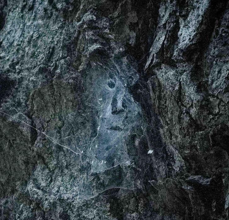 Illustration de l'article : Ces 20 photos qui ne sont pas ce qu'elles semblent &ecirc;tre