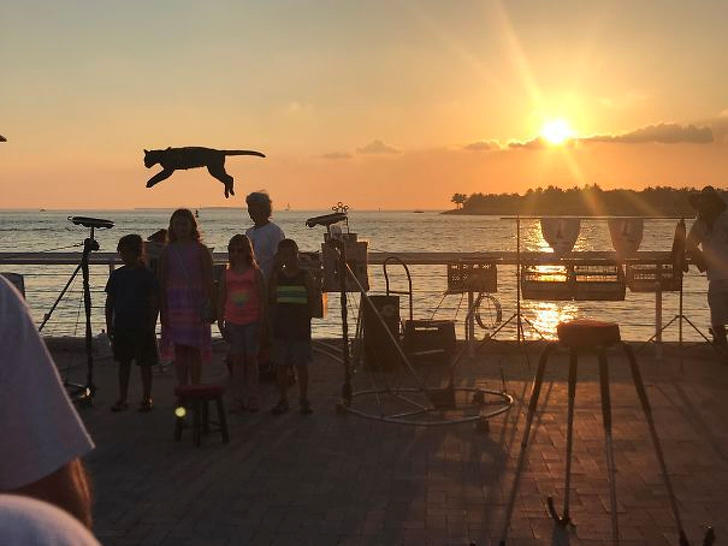 Illustration de l'article : Ces 27 photos prises à l'instant idéal pour en faire des clichés parfaits