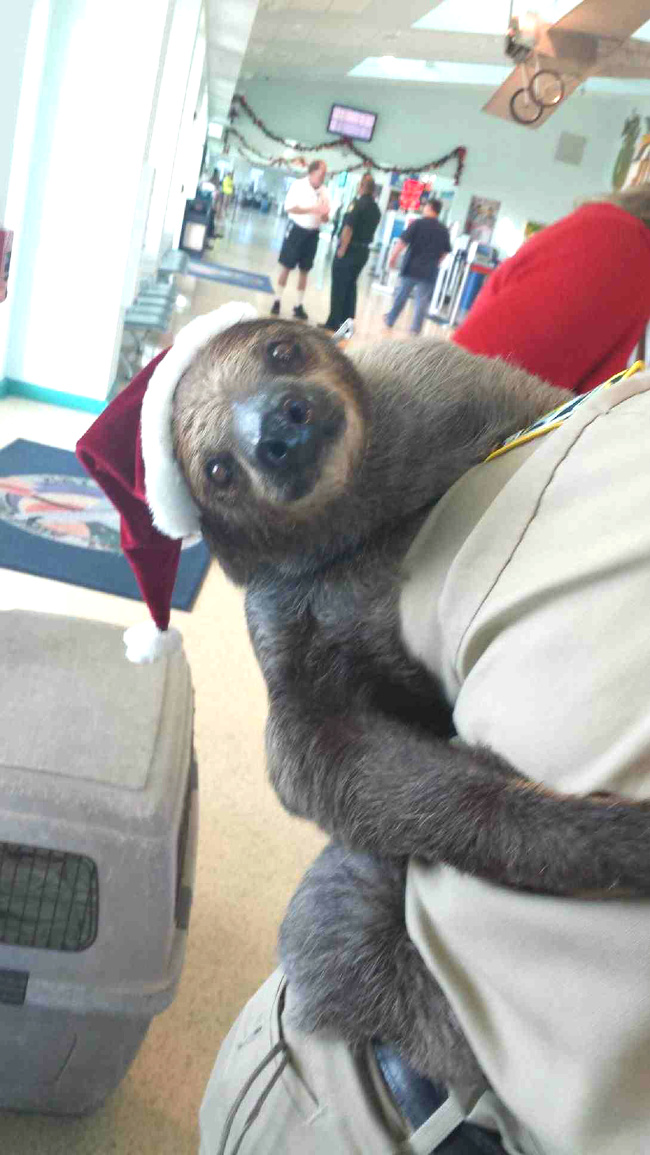 Illustration de l'article : Ces 22 faits qui montrent la particularité d'un aéroport