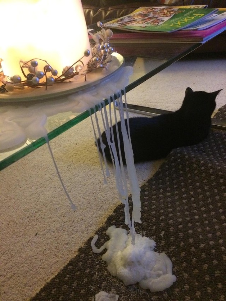 Illustration de l'article : Ces 21 photos qui réclament un peu d'empathie