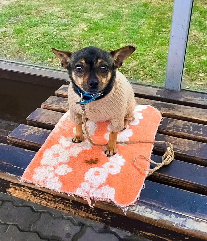 Illustration de l'article : Ces 24 photos qui montrent la joie de vivre