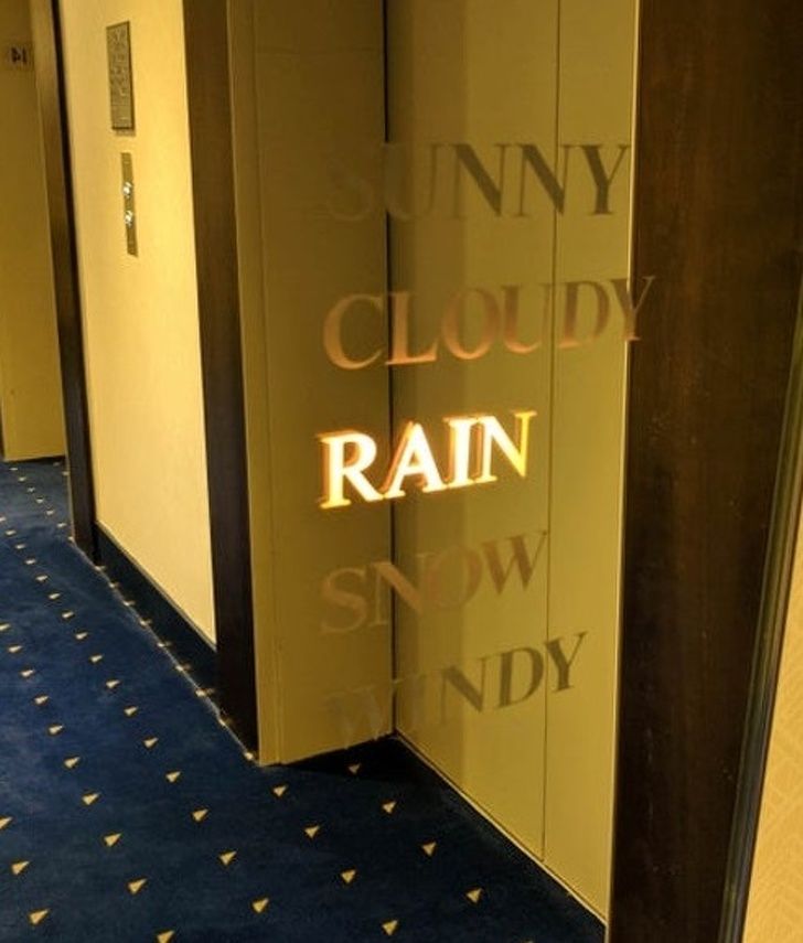 Illustration de l'article : Ces 20 photos qui montrent que les designers ont du talent