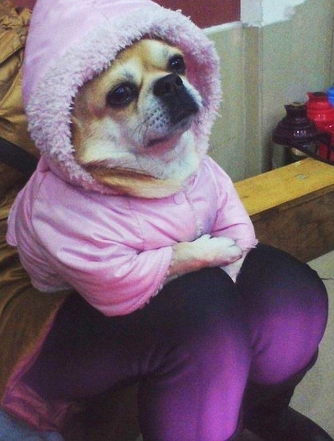 Illustration de l'article : 16 photos qui vont embrouiller votre esprit