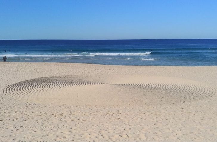 Illustration de l'article : Ces 20 photos qui illustrent les originalités de la nature