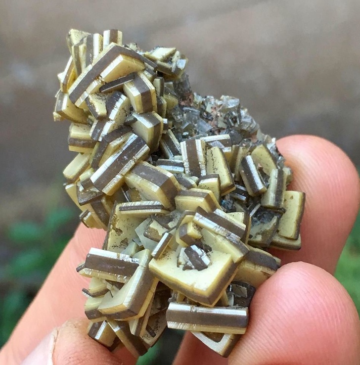 Illustration de l'article : Ces 19 exceptions qui ont marqué les auteurs de ces photos