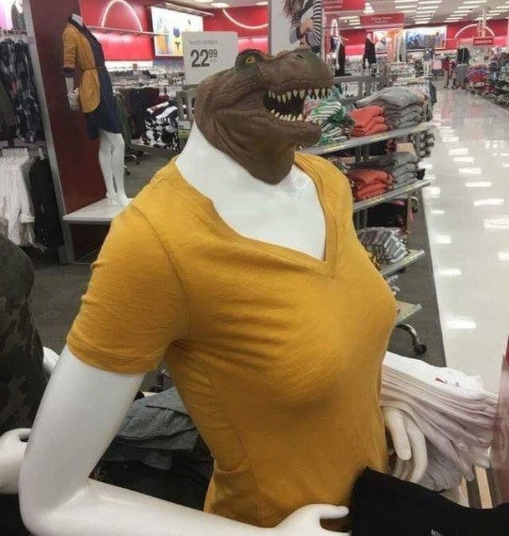 Illustration de l'article : Ces 19 photos de personnes pour qui la bêtise n'a pas de limite