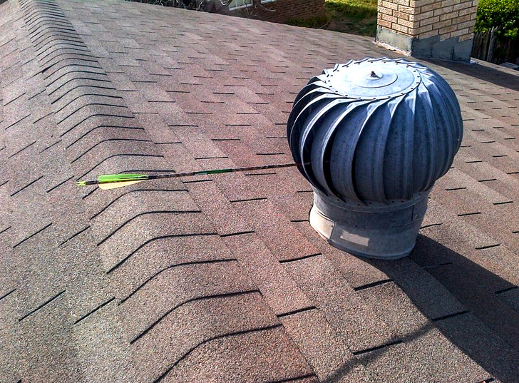 Illustration de l'article : Ces 17 photos de voisins pas vraiment fréquentables