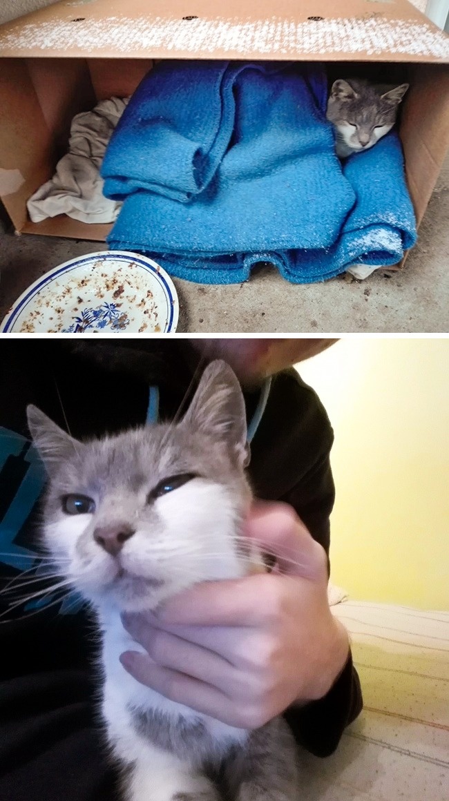 Illustration de l'article : Ces 31 photos résument au mieux le mot « humanité »