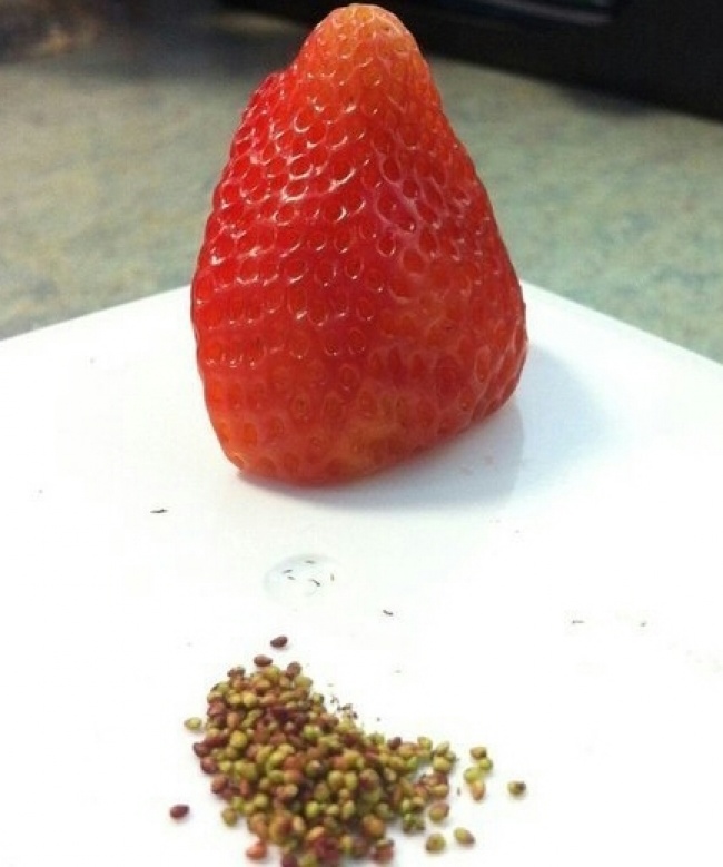 Illustration de l'article : 24 personnes qui ont eu des idées farfelues