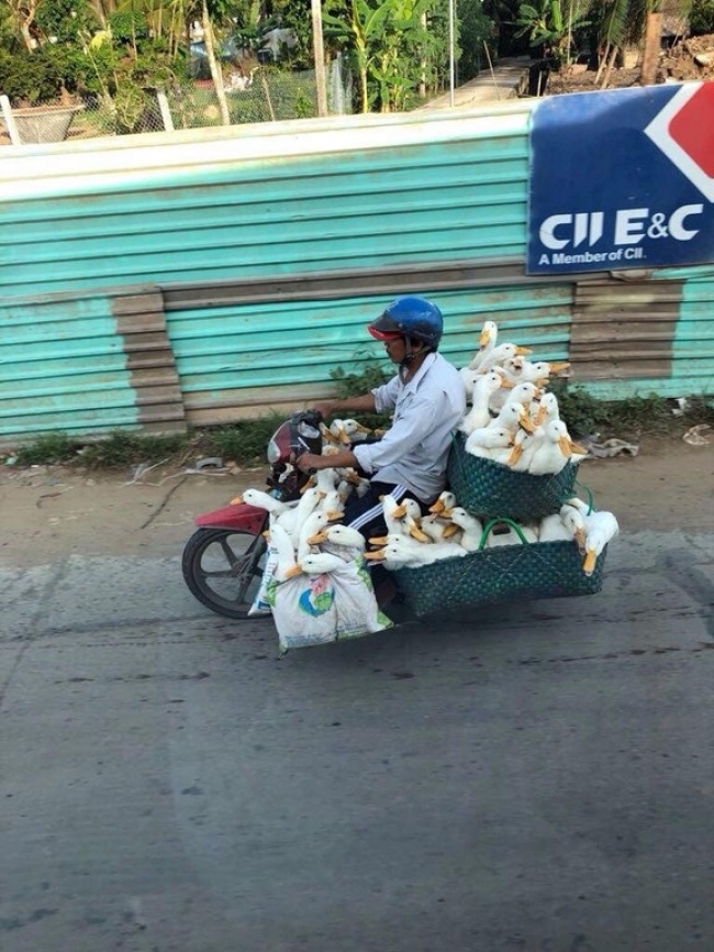 Illustration de l'article : 35 photos de choses totalement insensées et inexpliquées