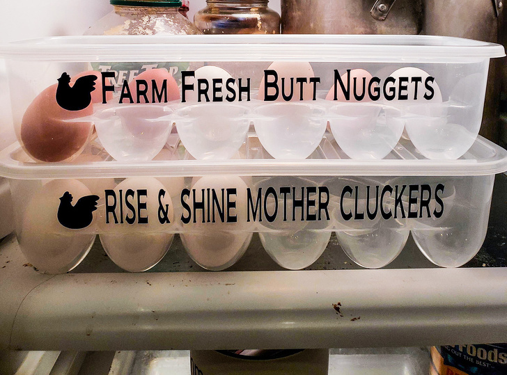 Illustration de l'article : Ces 17 personnes qui ont une bonne entente avec leurs collègues