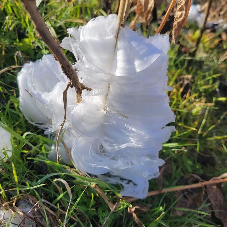 Illustration de l'article : Ces 19 photos qui illustrent des oeuvres d'art impr&eacute;vues