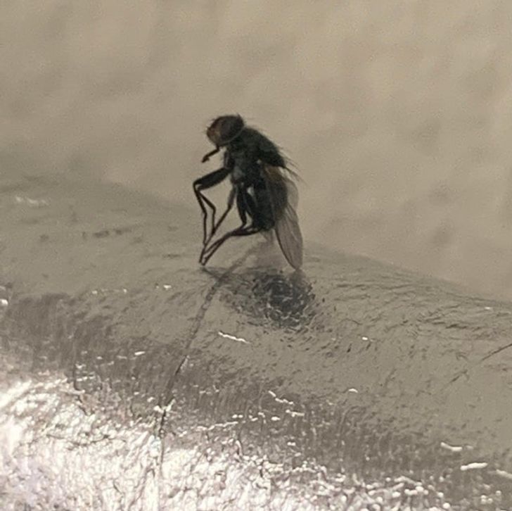 Illustration de l'article : Ces 20 photos qui illustrent les originalités de la nature