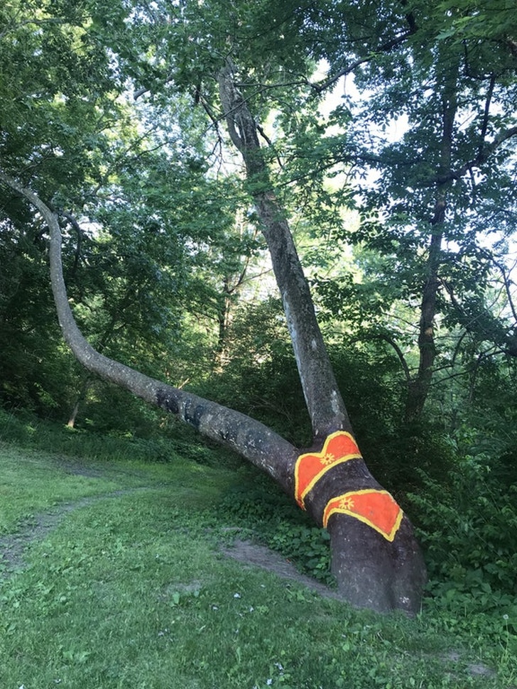 Illustration de l'article : Ces 27 choses bizarres que font certaines personnes