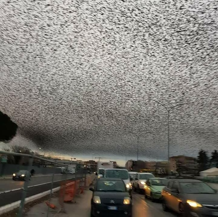 Illustration de l'article : Ces 16 photos qui montrent que notre monde est fascinant