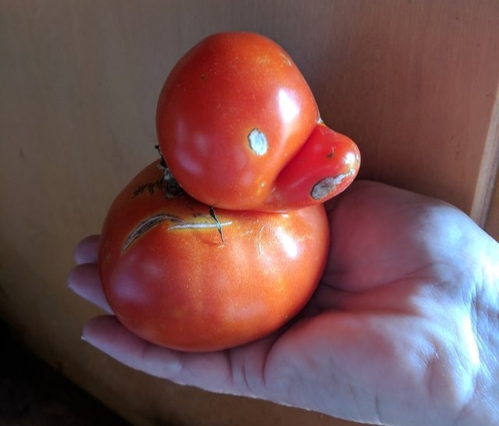 Illustration de l'article : Ces 21 choses qui ne se présentent qu'une seule fois dans une vie