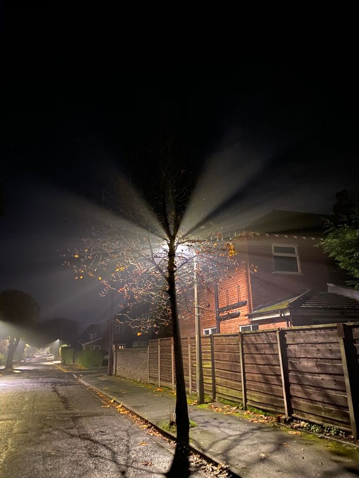 Illustration de l'article : Ces 20 photos parfaites au pouvoir relaxant