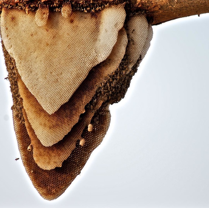 Illustration de l'article : Ces 19 scènes qui pourraient être dans un film d'aventure