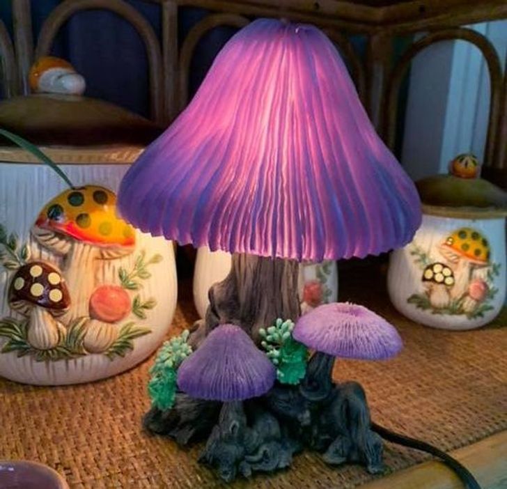 Illustration de l'article : Ces 19 photos de ce qu'on peut trouver de mieux dans les brocantes