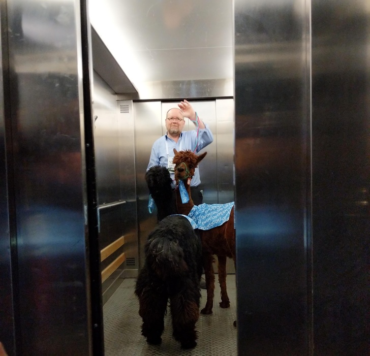 Illustration de l'article : Ces 16 curiosités montrent la folie du monde qui nous entoure