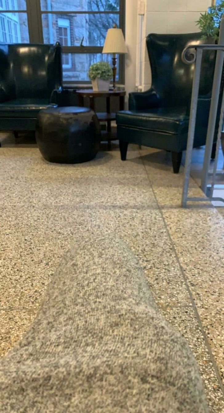 Illustration de l'article : Ces 17 photos qui illustrent l'art de se fondre dans le d&eacute;cor