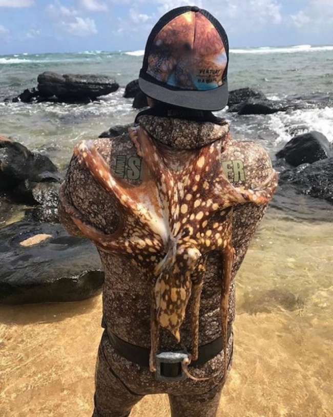 Illustration de l'article : 16 photos qui vont embrouiller votre esprit