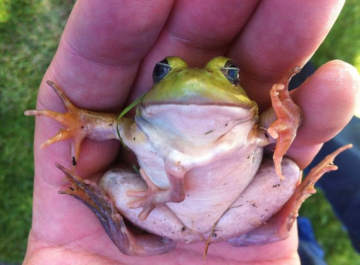 Illustration de l'article : Ces 20 photos illustrant quelques frayeurs de la nature