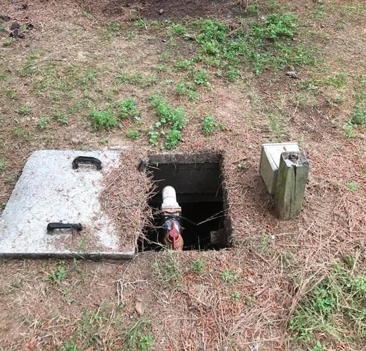 Illustration de l'article : Ces 17 photos étranges et sans retouche ont fait le buzz sur le net