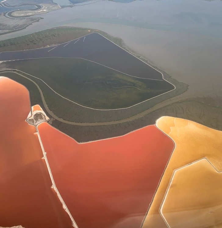 Illustration de l'article : Ces 17 choses dont l'utilisation intriguait leurs propriétaires