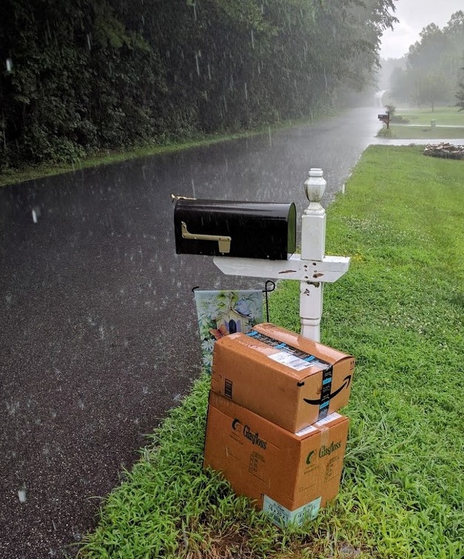 Illustration de l'article : Ces 27 curiosités immortalisées par un appareil photo